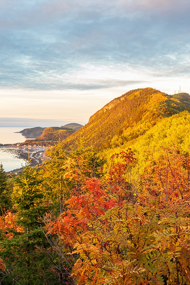 Parc du Bic Lemay Automne Belvedere Raoul Roy portrait light