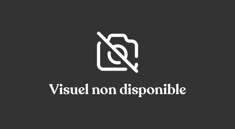 Visuel_Non_Disponible Visuel_Non_Disponible